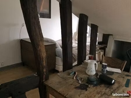 appartement t2 style loft à louer place des bancs