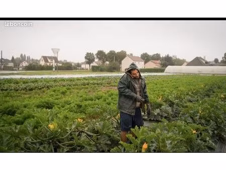 ? à louer – 10 hectares de terres agricoles – mayenne (53)  proche laval