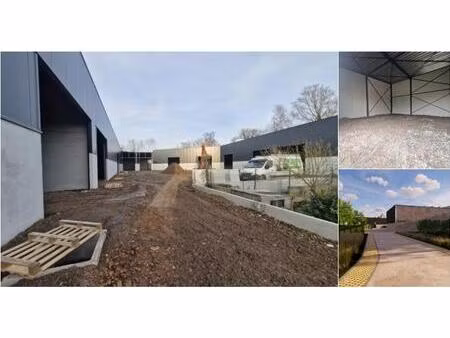 surface industrielle à louer à ath (rbv03289)