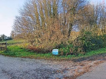 vente terrain à meslan (56320) : à vendre / 6300m² meslan