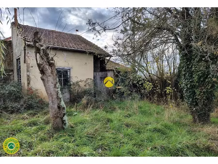 vente maison 0 pièces à sancoins (18600)  16 000 €