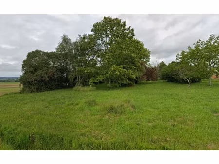 vente terrain 750 m² à bazas (33430)  41 800 €