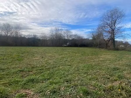 vente terrain à batir 2300 m² à biron (64300)  48 000 €