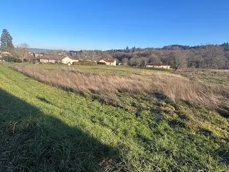 vente terrain 1612 m² à bessines-sur-gartempe (87250)  28 000 €