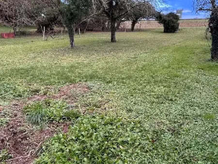 vente terrain 828 m² à saint-hilaire-de-villefranche (17770)  34 000 €
