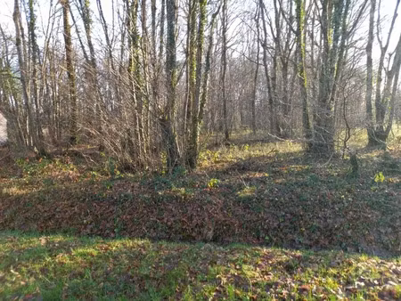 vente terrain 2370 m² à saint-hilaire-les-andrésis (45320)  30 000 €