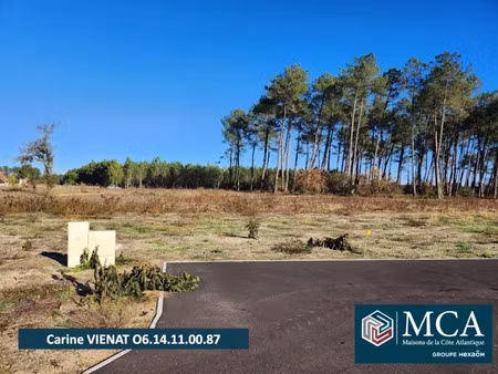 vente terrain 555 m² à pissos (40410)  67 000 €