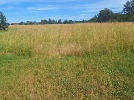 vente terrain 1200 m² à saint-cézert (31330)  69 000 €