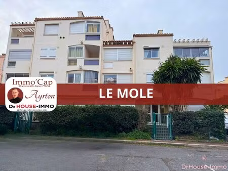 studio au mole