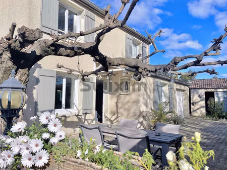 maison 4 chambres avec piscine et terrasses  proche commodit