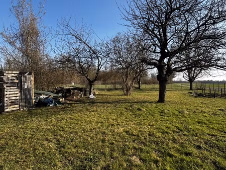 vente terrain 1 036 m²