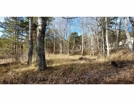 vente terrain 1370 m² andon (06750)