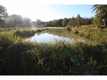 vente terrain 27000 m² à ligugé (86240)  95 000 €