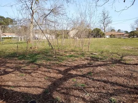 vente terrain 1775 m² à pompéjac (33730)  83 000 €