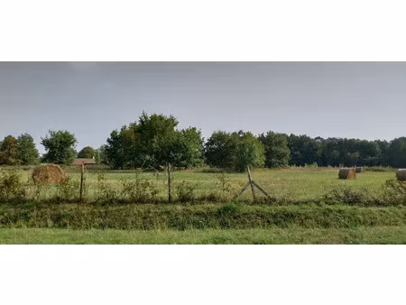 vente terrain 1300 m² à laruscade (33620)  88 000 €