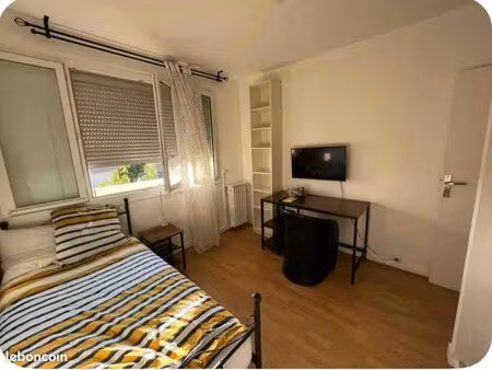 appartement 1 pièce