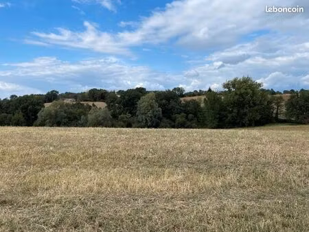 terrain 1 300 m² montfa