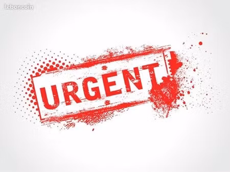 recherche urgente appartement