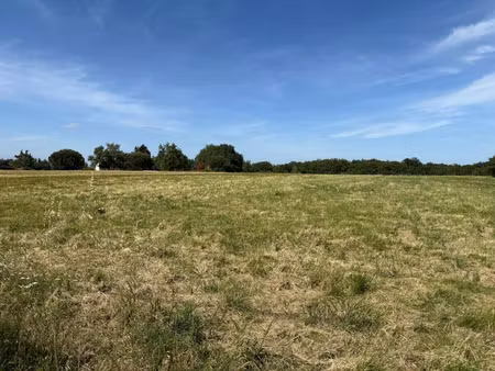 vente terrain 955 m² à vacquiers (31340)  106 000 €