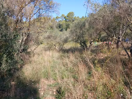 vente terrain 1113 m² à carnoules (83660)  130 000 €