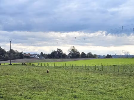 vente terrain 1468 m² à saint-clair-de-la-tour (38110)  199 000 €