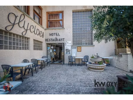 vente locaux professionnels 20 pièces 700 m² à prades (66500)  265 000 €