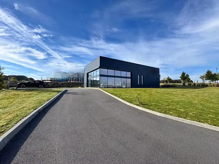 vente locaux professionnels 300 m² à saint-martin-des-champs (29600)  730 000 €