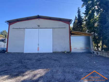 vente locaux professionnels 320 m² à raves (88520)  315 000 €