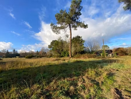 vente terrain 7500 m² à saint-morillon (33650)  232 000 €