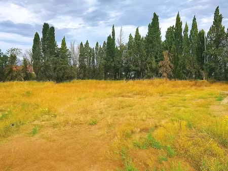 vente terrain à batir 757 m² à rivesaltes (66600)  216 000 €