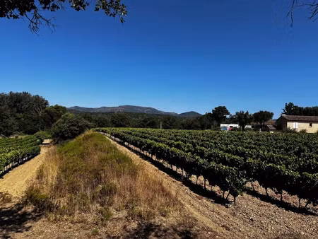 vente terrain 621 m² à saint-tropez (83990)  294 000 €