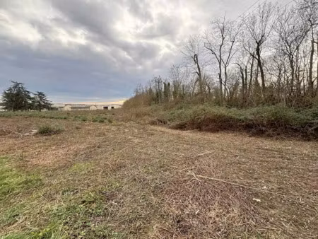 vente terrain 8727 m² à montbartier (82700)  436 350 €