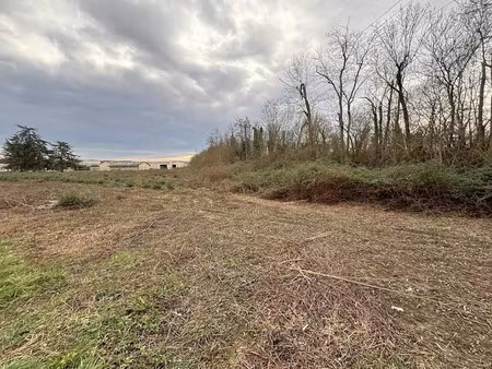 vente terrain à montbartier (82700)  436 350 €
