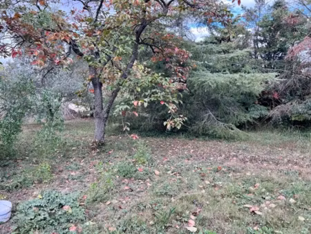 vente terrain 850 m² à saint-raphael (83700)  430 000 €