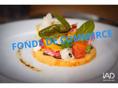 vente locaux professionnels 100 m² à la ferté-bernard (72400)  174 000 €