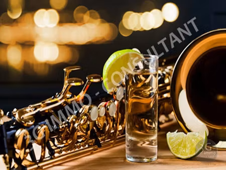 vente locaux professionnels 550 m² à la bourboule (63150)  690 000 €