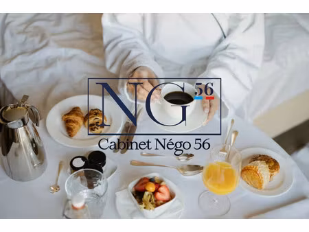 vente locaux professionnels 250 m² à vannes (56000)  1 200 000 €