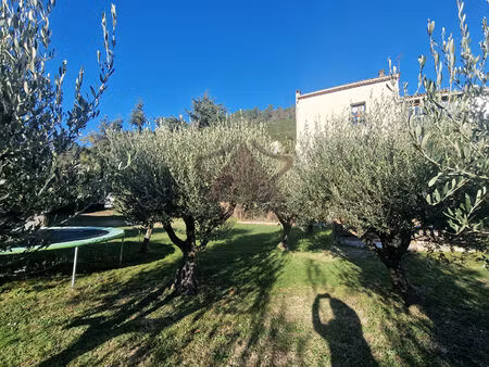 maison avec pisicine et terrain arboré