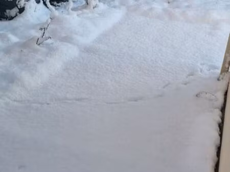 locations appartement t3 sur tonneins