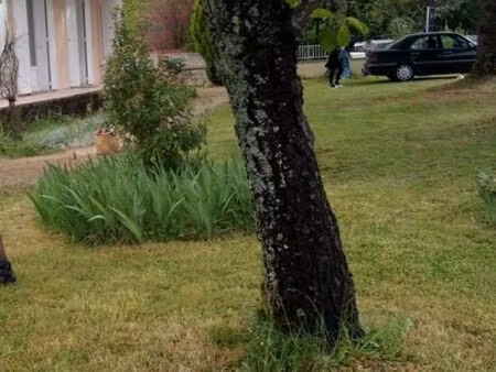 location villa jardin pradines