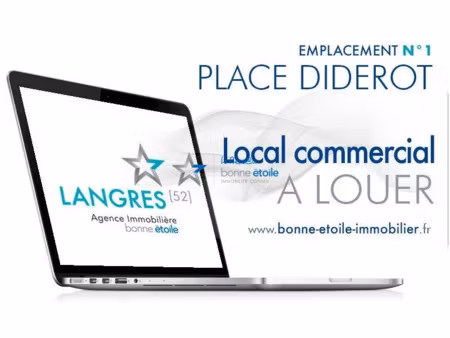 location locaux professionnels 69 m² à langres (52200)  1 500 €