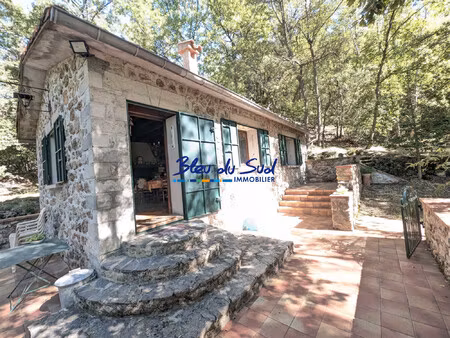 maison 4 faces en pierres avec terrasse dans les bois