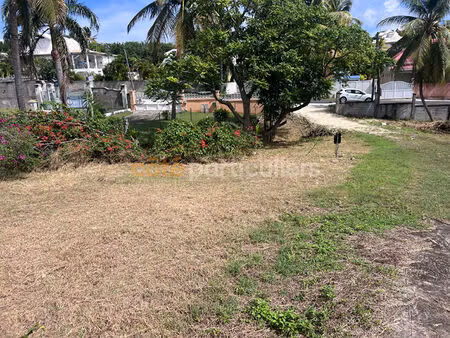 terrain sainte anne 2826 m2