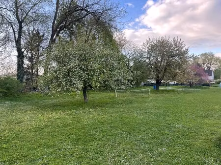 a vendre terrain constructible - 10 km de reims secteur isles sur suippe