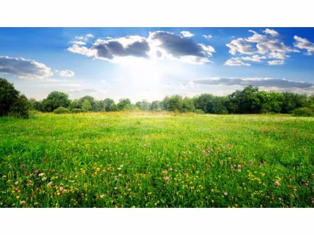 terrain constructible 670 m2 sévérac