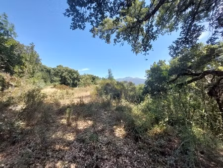 terrain de loisirs de 2366 m2 à riventosa (haute corse)