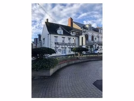 location commerce 18 pièces 730 m² à blain (44130)