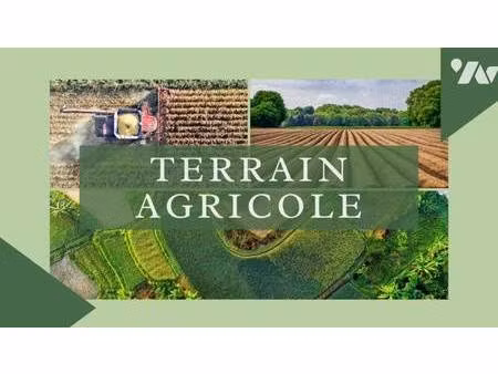 valentin tubau-carrere