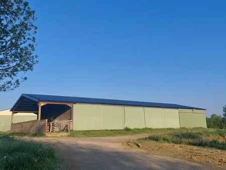 hangar 800 m² à louer – stockage / agricole