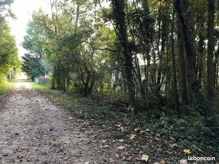 terrain non constructible chamigny